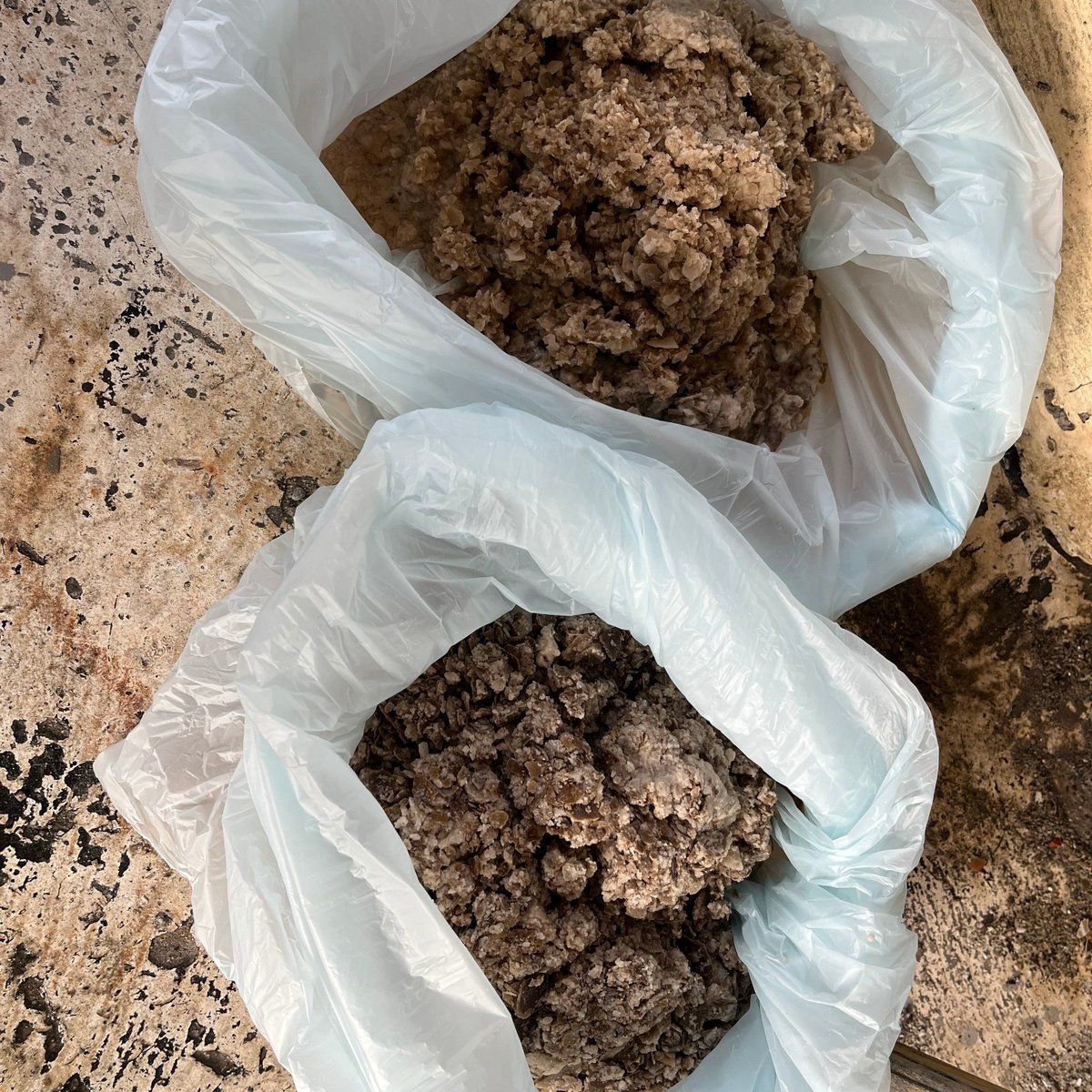 清洗後從學校水塔清出的水垢實體,以塑膠袋裝盛展示