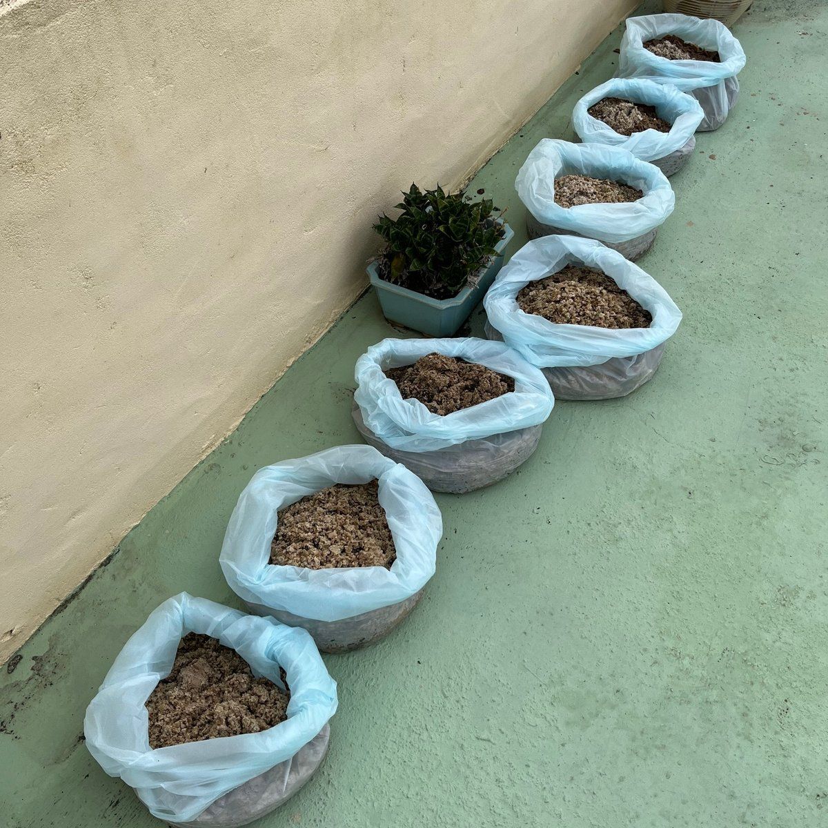 單一現場清洗時清出的水垢,一袋一袋排在牆邊,總共七大袋